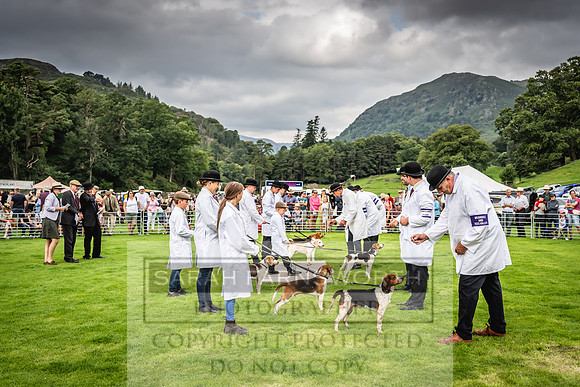 Rydal Hound show 2023-16