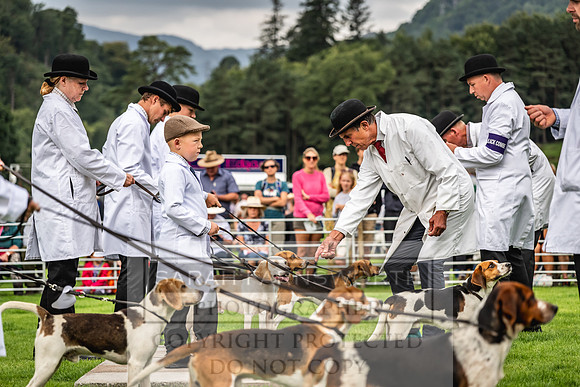 Rydal Hound show 2023-17