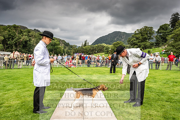 Rydal Hound show 2023-21
