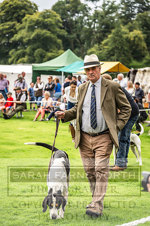 Rydal Hound show 2023-23