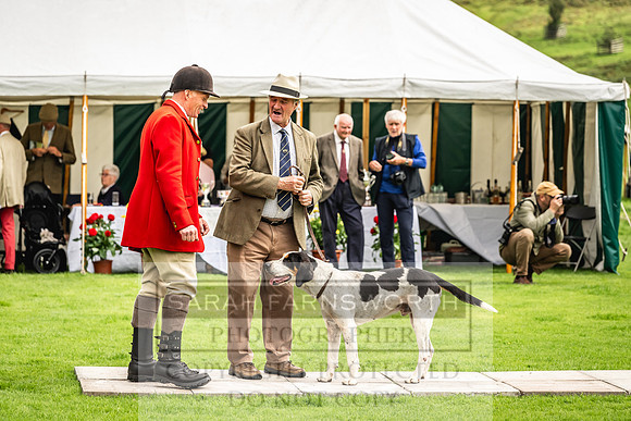 Rydal Hound show 2023-25