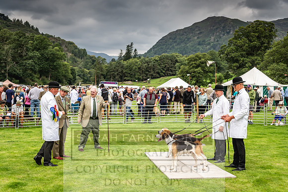 Rydal Hound show 2023-31
