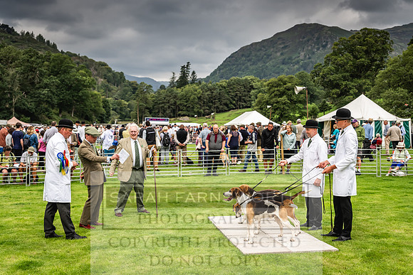 Rydal Hound show 2023-30