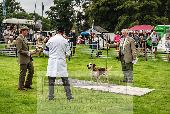 Rydal Hound show 2023-29