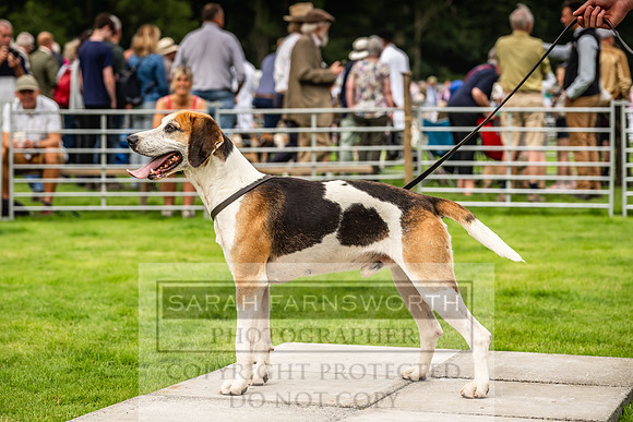 Rydal Hound show 2023-36