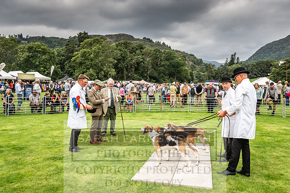 Rydal Hound show 2023-35