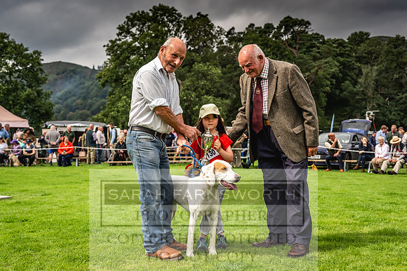 Rydal Hound show 2023-37