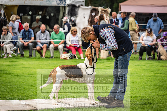 Rydal Hound show 2023-39