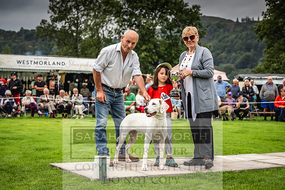 Rydal Hound show 2023-42
