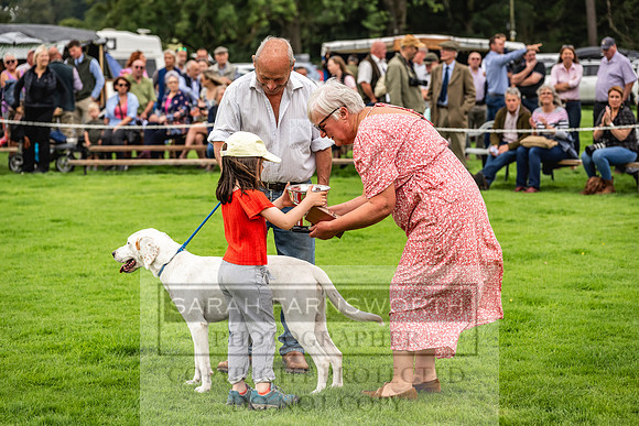 Rydal Hound show 2023-45
