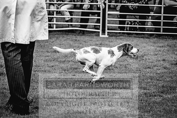 Rydal Hound show 2023-49