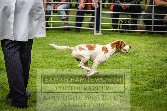 Rydal Hound show 2023-50