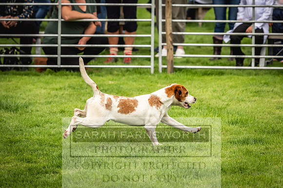 Rydal Hound show 2023-51