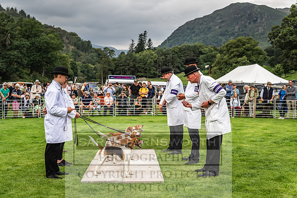 Rydal Hound show 2023-52