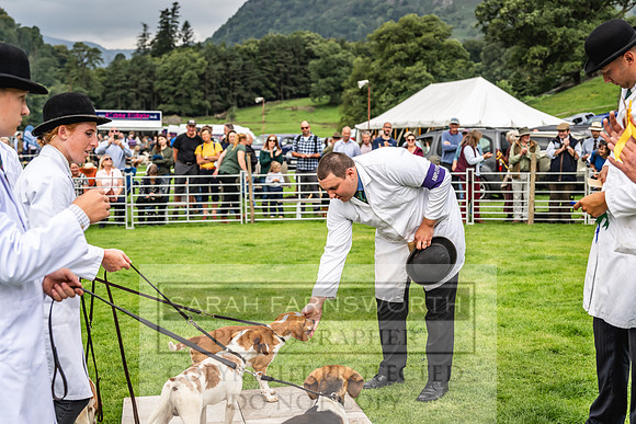 Rydal Hound show 2023-55