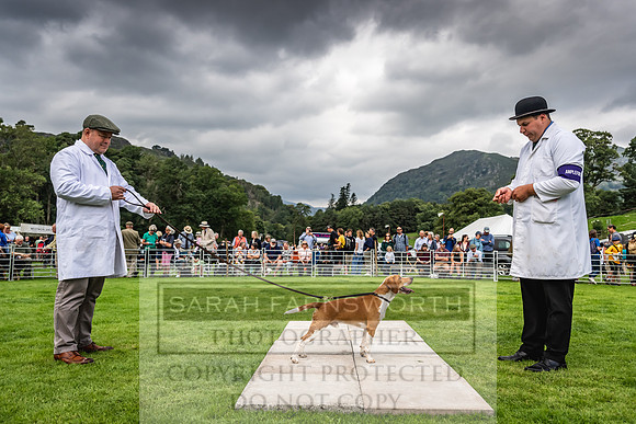 Rydal Hound show 2023-56