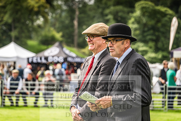 Rydal Hound show 2023-59