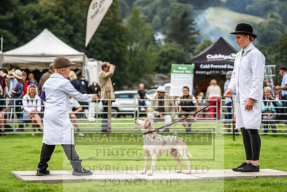 Rydal Hound show 2023-63