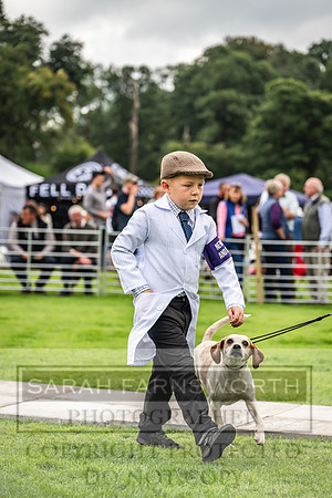 Rydal Hound show 2023-64