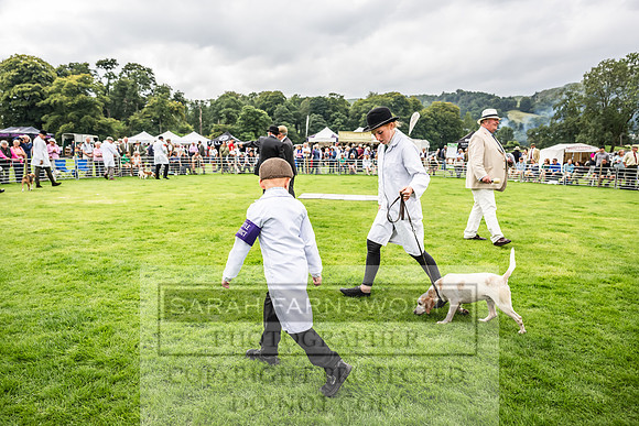Rydal Hound show 2023-68