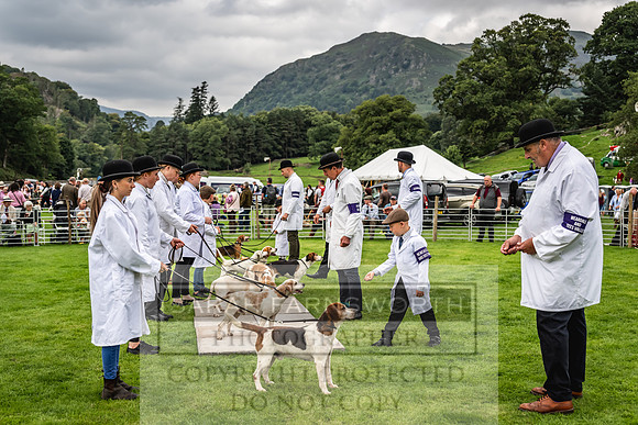 Rydal Hound show 2023-71