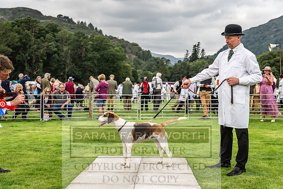 Rydal Hound show 2023-74