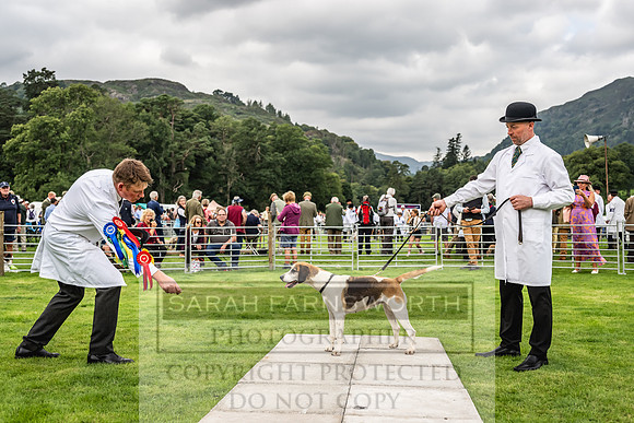 Rydal Hound show 2023-75