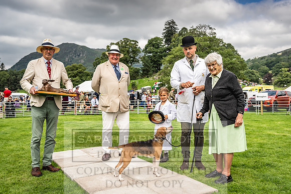Rydal Hound show 2023-84
