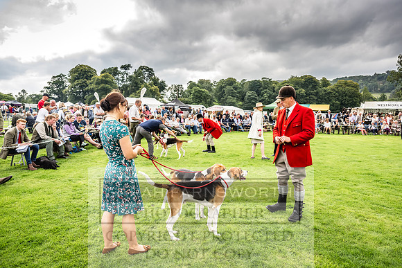Rydal Hound show 2023-91