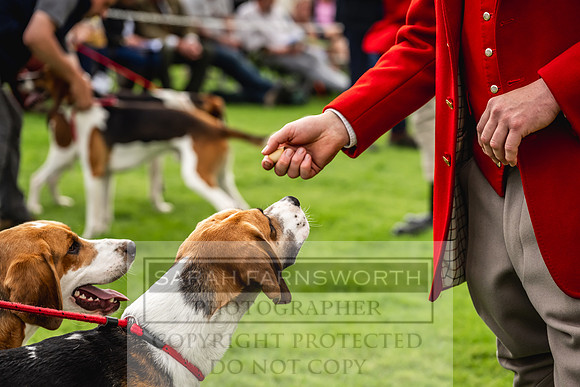 Rydal Hound show 2023-92