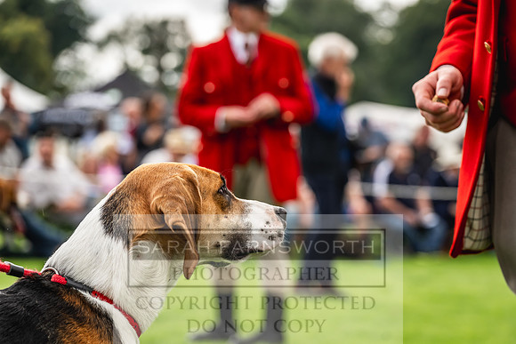 Rydal Hound show 2023-93