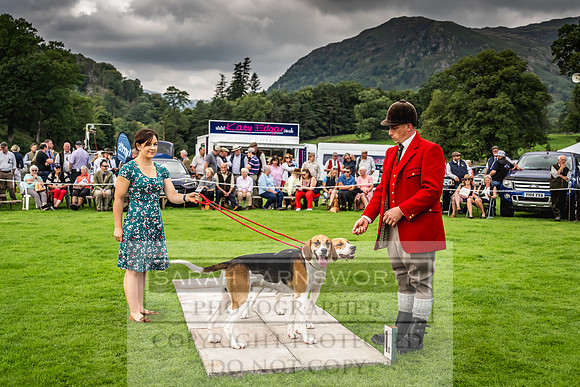 Rydal Hound show 2023-96