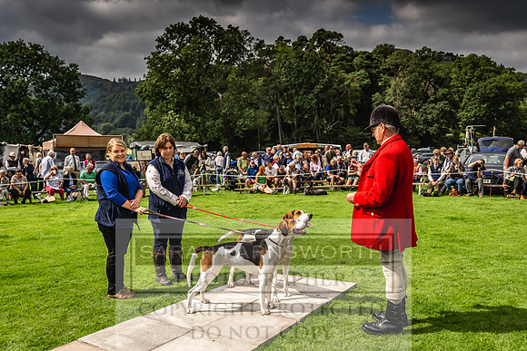 Rydal Hound show 2023-102