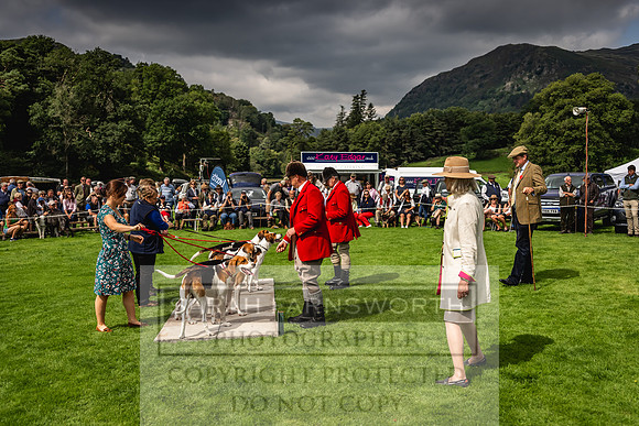 Rydal Hound show 2023-103
