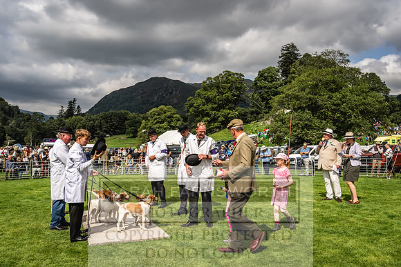 Rydal Hound show 2023-108