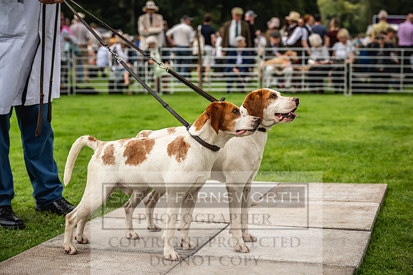 Rydal Hound show 2023-112