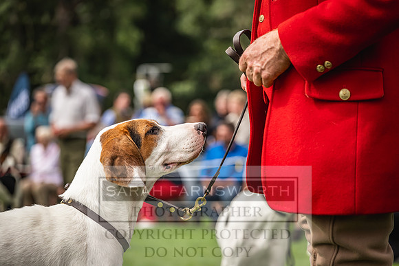 Rydal Hound show 2023-114