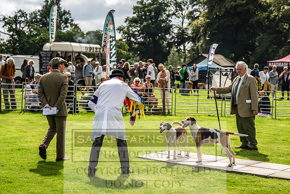 Rydal Hound show 2023-117