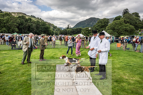 Rydal Hound show 2023-118