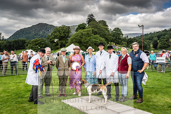 Rydal Hound show 2023-119