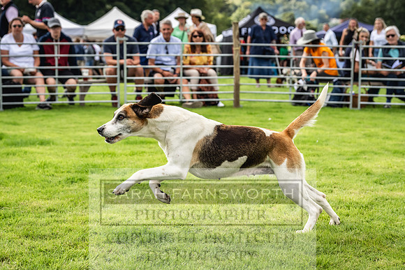 Rydal Hound show 2023-121
