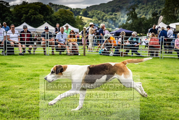 Rydal Hound show 2023-122