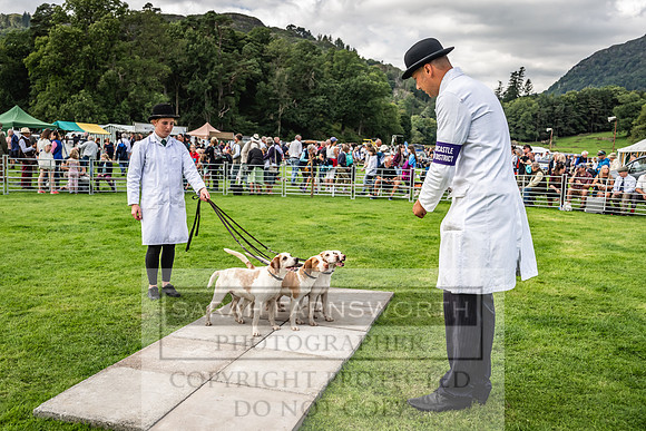 Rydal Hound show 2023-124