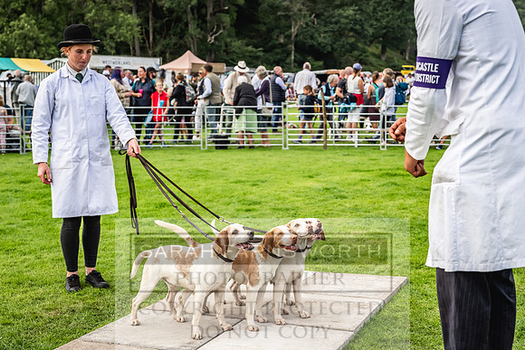 Rydal Hound show 2023-125