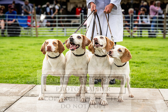Rydal Hound show 2023-126
