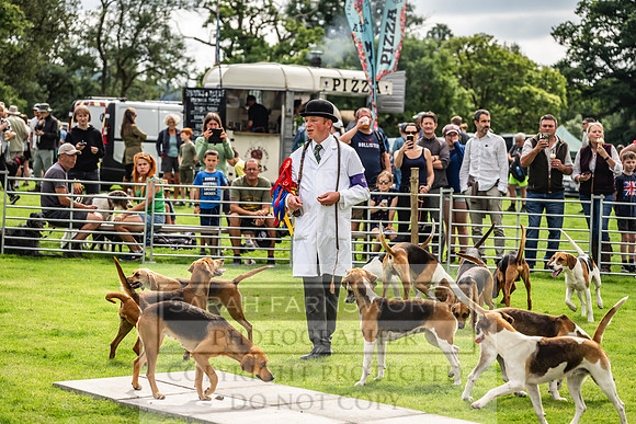 Rydal Hound show 2023-127