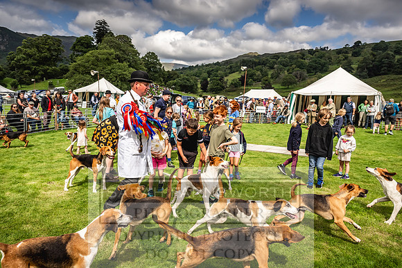 Rydal Hound show 2023-131
