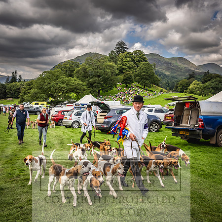 Rydal Hound show 2023-133