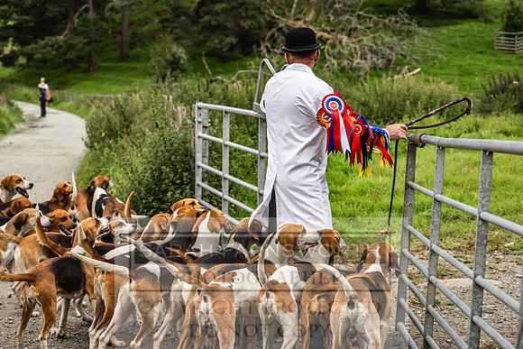 Rydal Hound show 2023-135