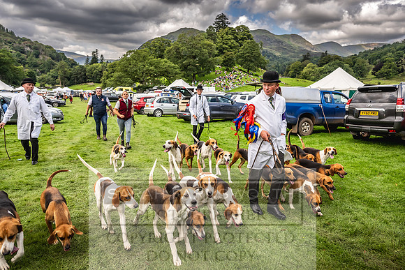 Rydal Hound show 2023-134